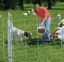 Electric Sheep and Goat Fence 50m (+/- 0.5m)