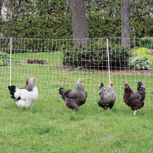 Electric Poultry Fence 50m (+/- 0.5m)