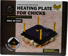 Brooder Chick Plate for 25 chickens