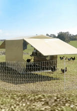 Chicken Caravan E Coop Layer 60