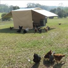 Chicken Caravan E Coop Layer 60