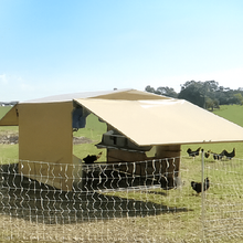 Chicken Caravan E Coop Layer 60