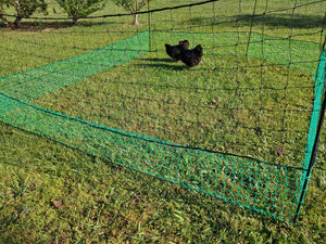 Non-electric Poultry fence - 1.2m  tall, 12m long