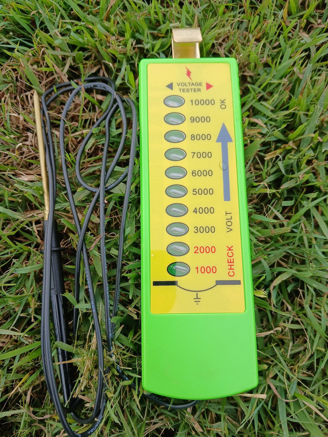 Green Fence Tester – Chicken Caravan