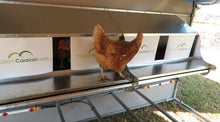 Chicken Caravan E Coop Layer 60