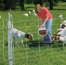 Electric Sheep and Goat Fence