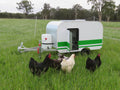 Chicken Caravan 10 - Pink